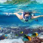 Snorkelling tour