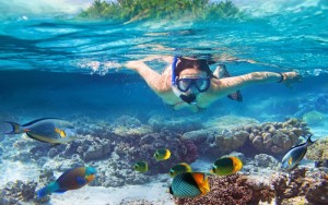 Snorkelling tour