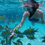 snorkeling tour