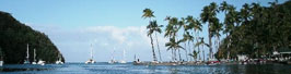 marigot